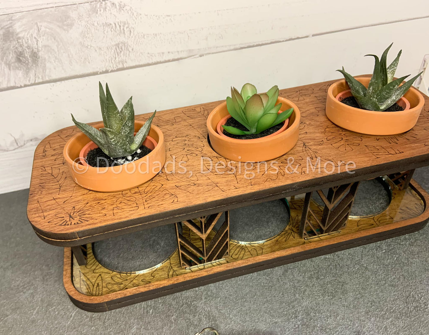 Plant Display For Succulents/Mini Pots